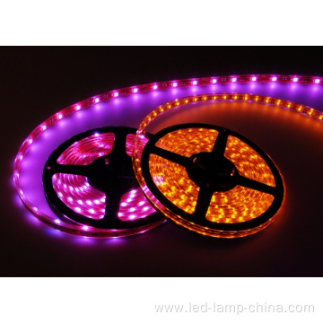 5050 RGBW/RGBWW/RGBCW LED Strip DC12V DC24V Available